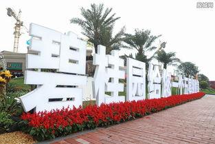 碧桂园爆料最新事件,揭秘背后真相与影响