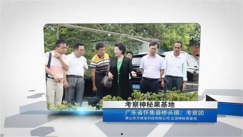 万顺科技最新爆料新闻,揭秘企业创新突破与市场布局