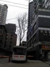 成都青羊区最新爆料信息,聚焦区域发展新动态