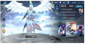 瑶新皮肤最新爆料荣耀典藏,瑶新皮肤爆料，神秘荣耀典藏即将揭晓！