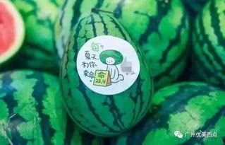 古茗新瓜最新爆料,揭秘神秘新品背后的故事